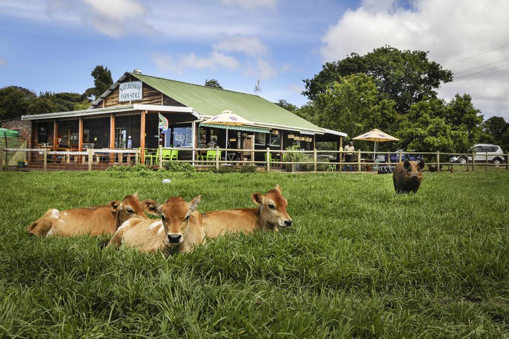 Natures Way Farm Cottage The Crags Bagian luar foto